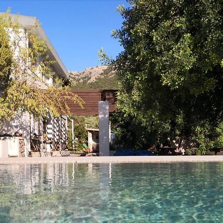 Villa Maria Dorgali Exteriér fotografie