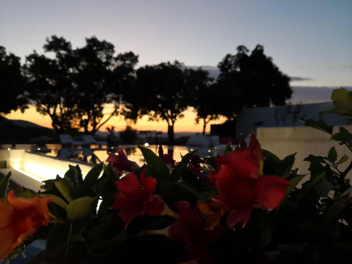 Villa Maria Dorgali Exteriér fotografie
