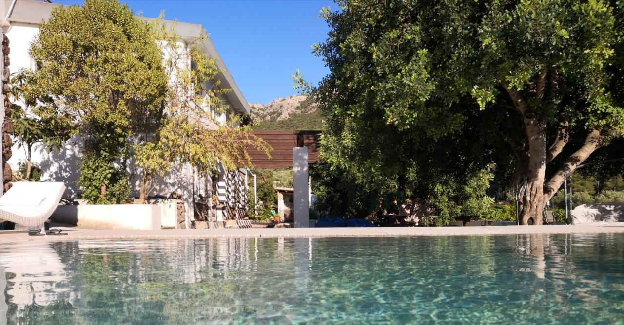 Villa Maria Dorgali Exteriér fotografie