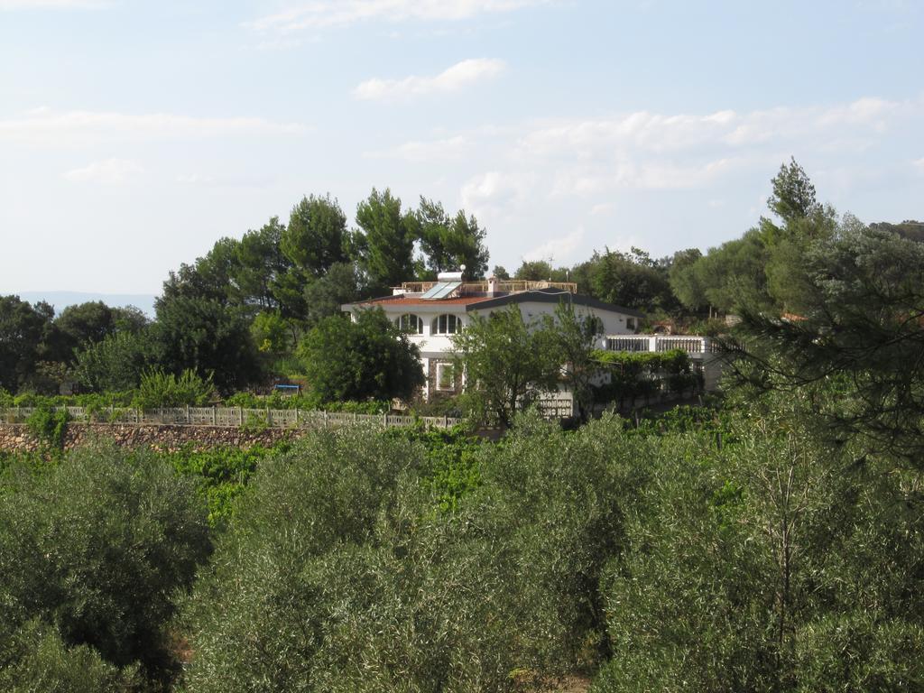 Villa Maria Dorgali Pokoj fotografie